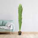 Hand-Made Green Yucca Artificial decoration Plant For Home & Office Decoration Leaf Yellow Border |RA6459(L)/ RA6462(S)|