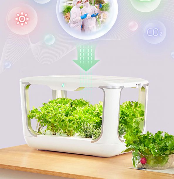 Xiaomi Tiny Green Mini Home Garden for Growing Vegetables etc Lg-size