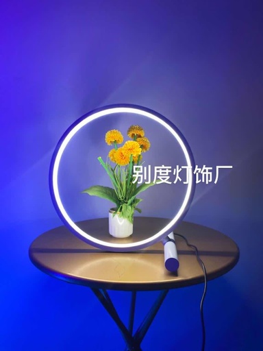 RGB Table Lamp Light With Remote Ring Lamp Light